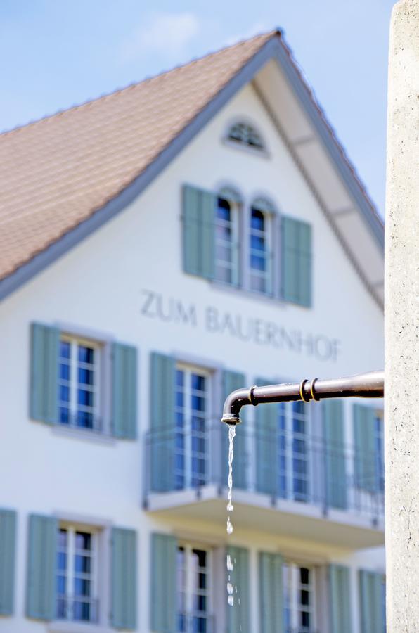 Gasthaus Zum Bauernhof Oberlunkhofen Dış mekan fotoğraf