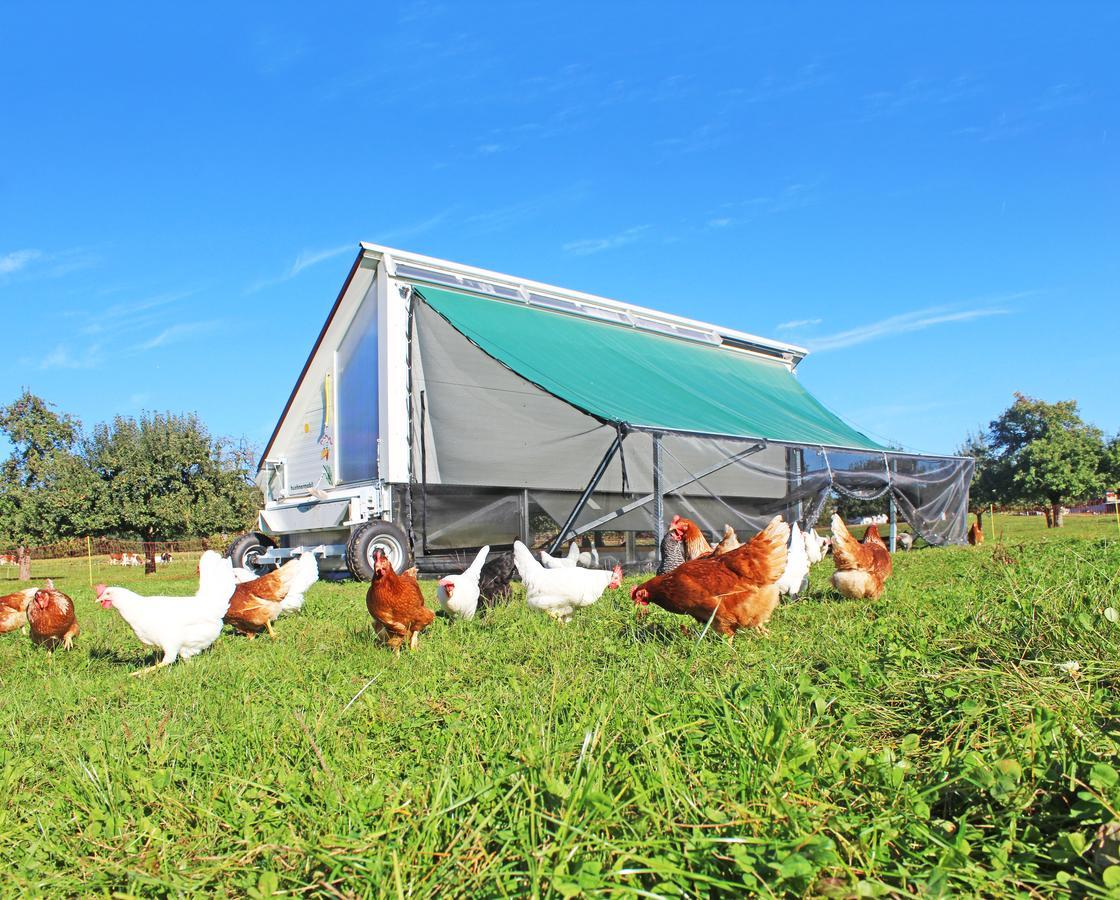 Gasthaus Zum Bauernhof Oberlunkhofen Dış mekan fotoğraf